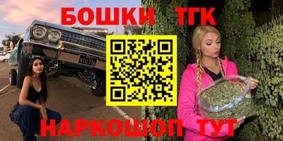 гидра Новозыбков