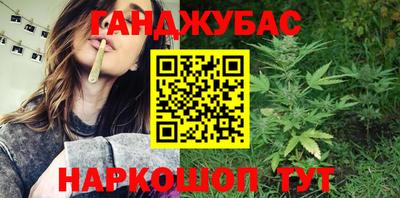 гидра Новозыбков
