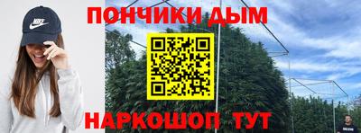 гидра Новозыбков
