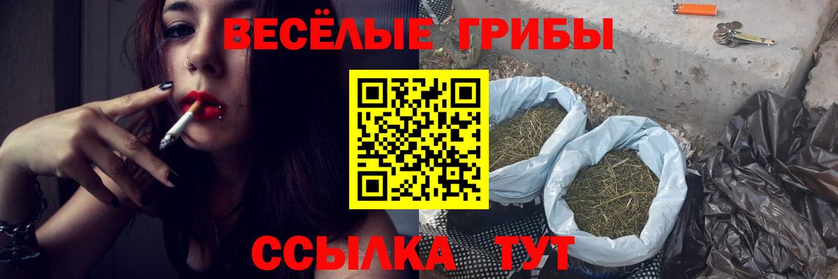 Фролово  Галлюциногенные грибы MAGIC MUSHROOMS  Вход с VPN 